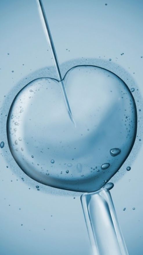 biomaternity's tweet photo. With love from our laboratory, happy Valentine's Day!
#ValentinesDay #OneMoreDay #Fertility #IVF #ICSI #EggDonation https://t.co/iAqEs3HsBc