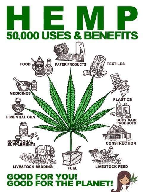 alvin112490's tweet photo. Hemp 😎👌👍 https://t.co/ow5YpI4u9K