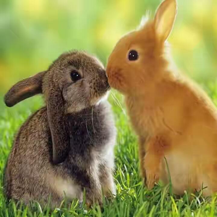 Sivakumar77751's tweet photo. @dhivyahoney காதலர் தின வாழ்த்துக்கள் டார்லிங் https://t.co/qzlyPwGvfD
