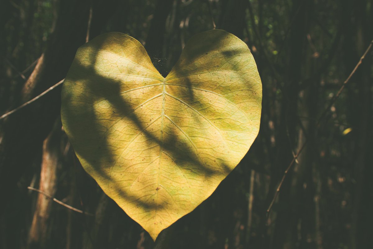 sosbuckingham's tweet photo. Love Is In The Air
#ValentinesDay https://t.co/XdmvjpUvC7