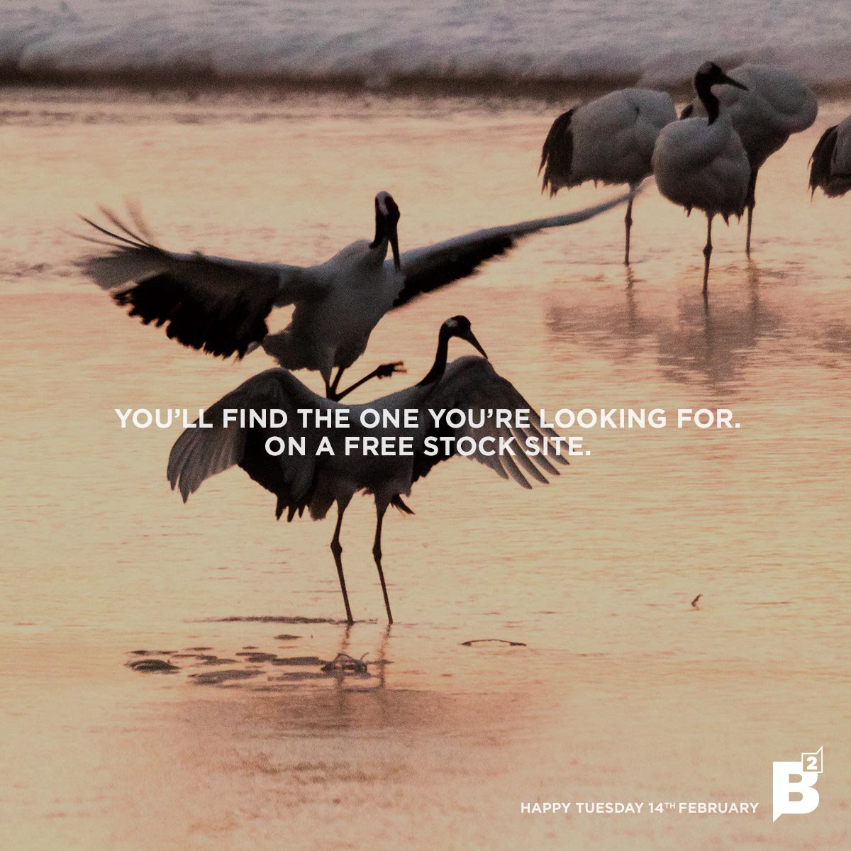 BaseTwoAgency's tweet image. Trust us, the one, Img_3448920158393, is out there. Waiting for you.  At the search bar. #Valentines #TrueStory