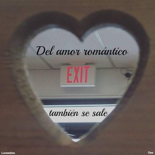 #BuenosYFeministasDías libres de #14FTóxico vía <a href="/DavidQ3Q/">David Ecuador Etxea</a> @arelytm76 <a href="/VocesFeminista/">Voces Feministas</a> <a href="/FondoSemillas/">Fondo Semillas</a> @ISBeauvoir <a href="/ZaaTerciopelo/">Bruja con Huipil</a> <a href="/trurin/">Claudia Trujillo R</a>