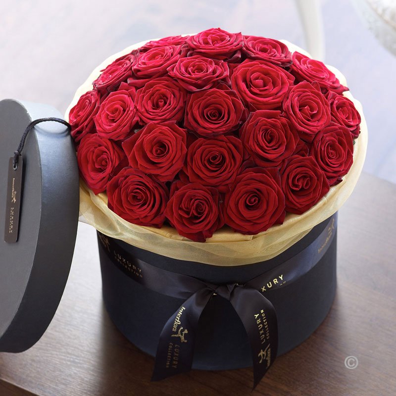 OPTIMUMVIP's tweet photo. HAPPY VALENTINES DAY! #OPTIMUMVIP #LUXURY https://t.co/9L9MiOXFgF https://t.co/Bgbve56Rju
