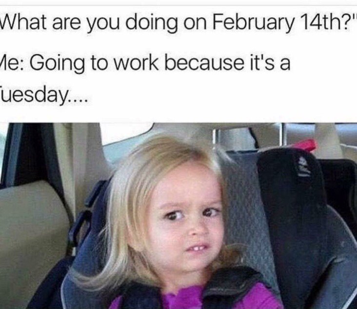 JuliaLedingham's tweet image. Pretty much 😂