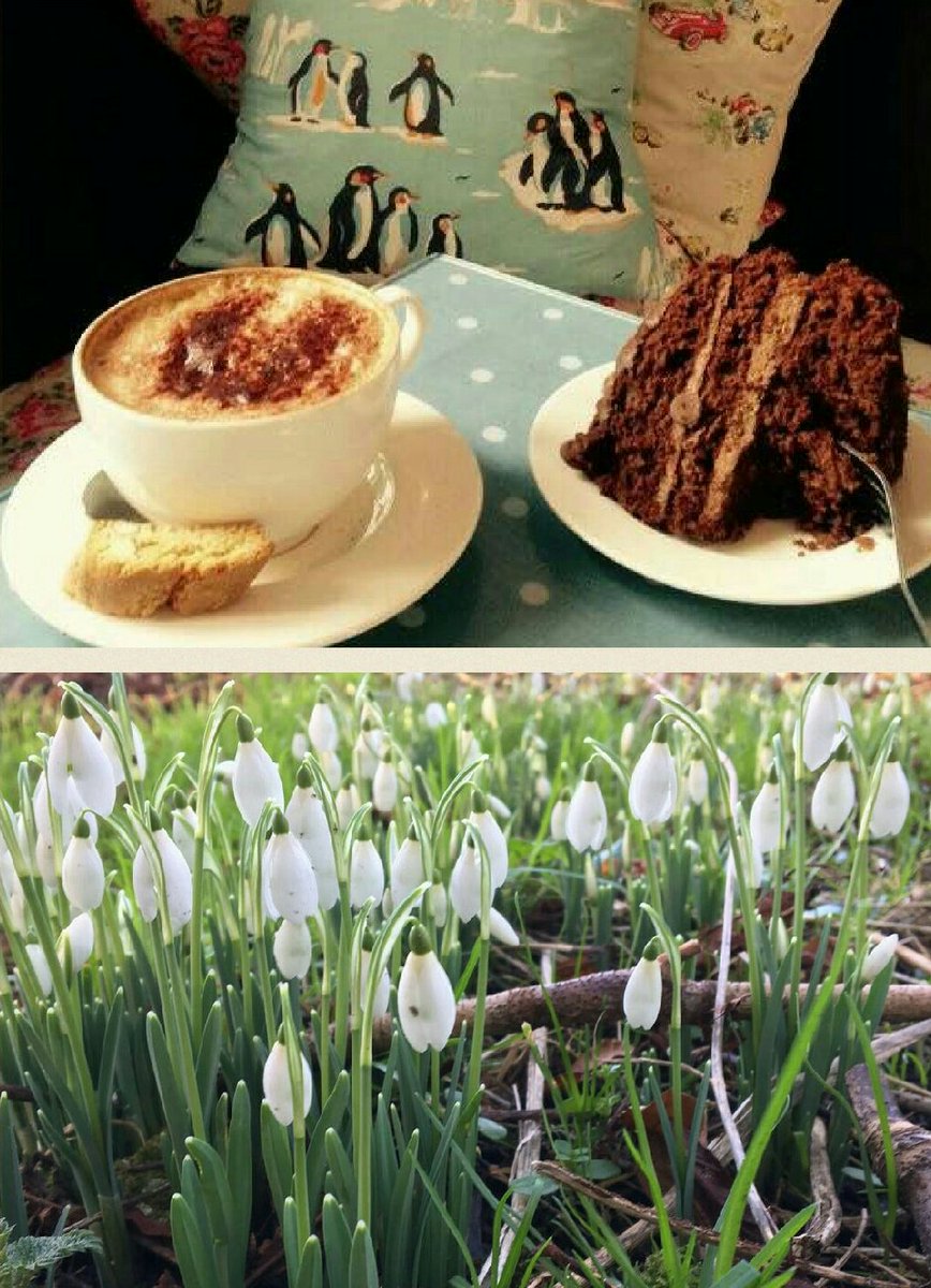 BurtonAgnesHall's tweet photo. Fancy a Valentine's walk? Grab your loved one and join us for a snowdrop walk, then warm up in the cafe with coffee &amp; home-baked treats... https://t.co/xQRyyk24y8