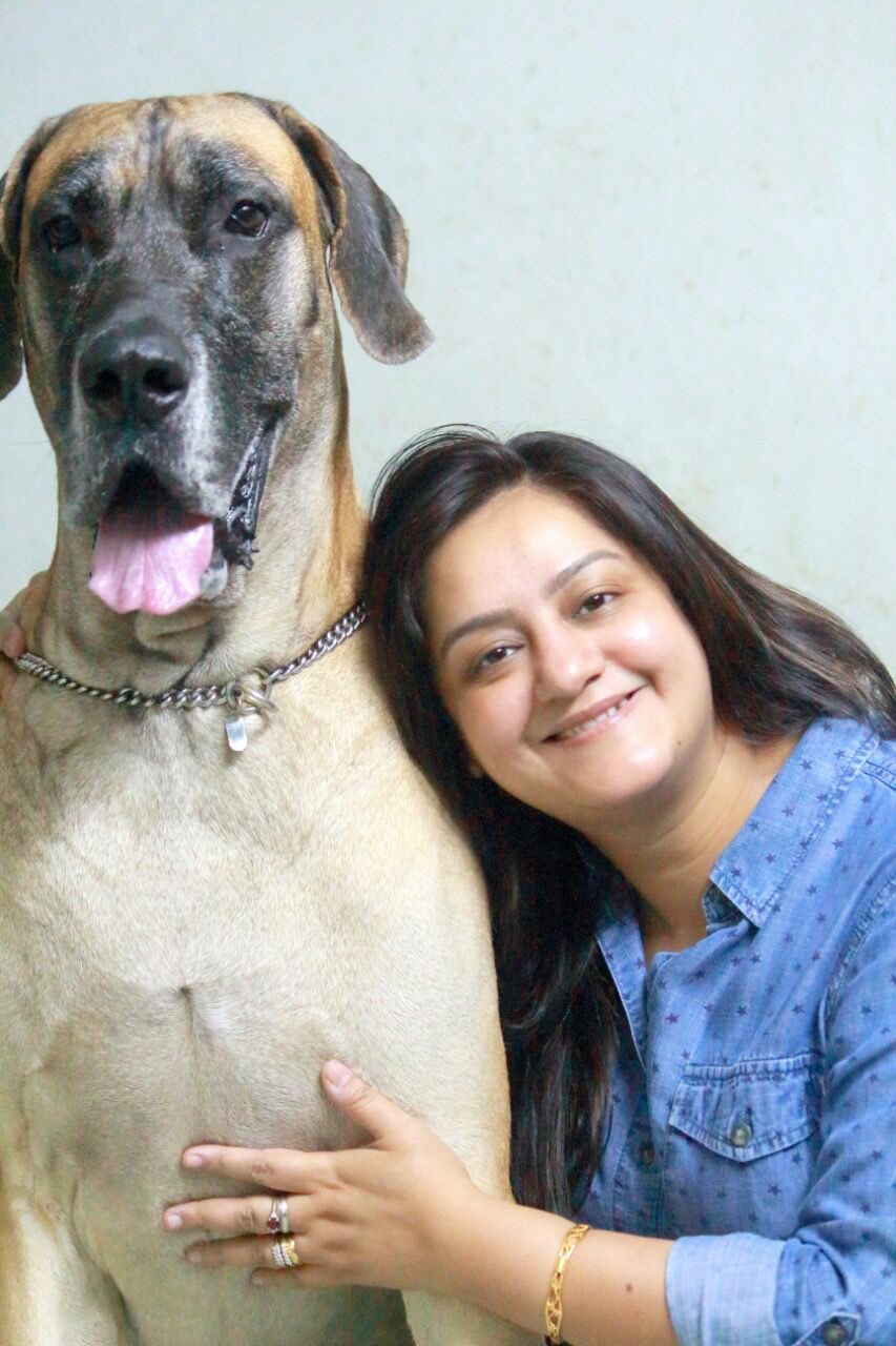 Bhanubhushan chatterjee, death, pet dog, Sudipa Chattarjee Sudipa Chatterjee on Twitter: "#MyHero.. #MyValentine #BFF..  https://t.co/auvHPecGen" / Twitter