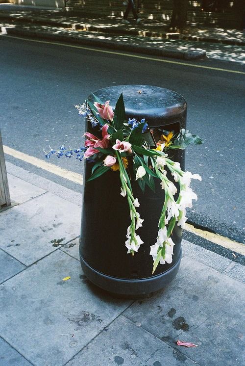 RustyBeukes's tweet photo. When you're trash but you still look cute AF on Valentine's Day. Pic via @irCadillac https://t.co/vMoEifzW4m