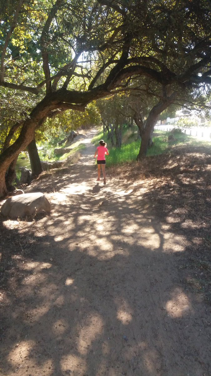 oliverkopp1's tweet photo. Soaking up everything stellenbosch has to offer during long runs with my partner in crime ❤ #asicsfrontrunner @ASICS_ZA https://t.co/u1XT9m5wiu