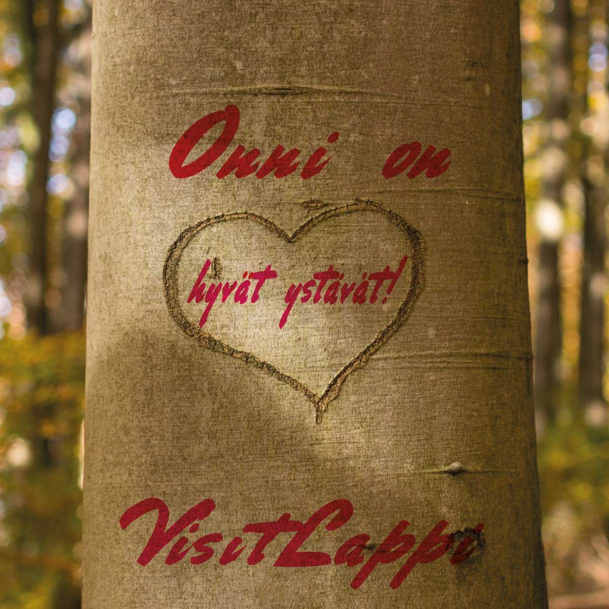 VisitLappi's tweet photo. Hyvää ystävänpäivää https://t.co/XzvcUqjC7h