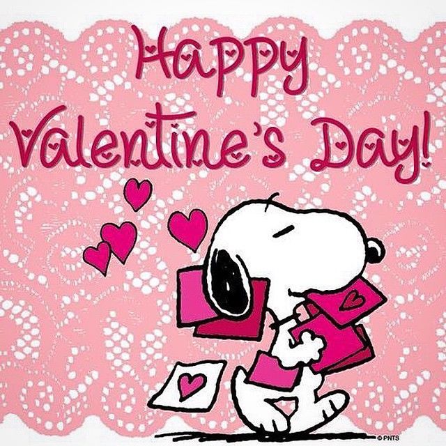 msfeeley4th's tweet photo. From all in #5thclass to all our friends https://t.co/49XPg000rx