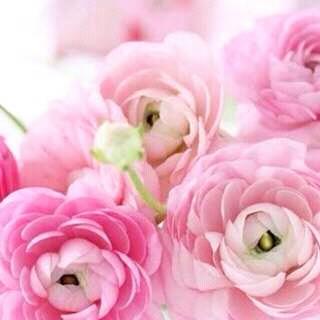 MarkTim18's tweet image. Hello