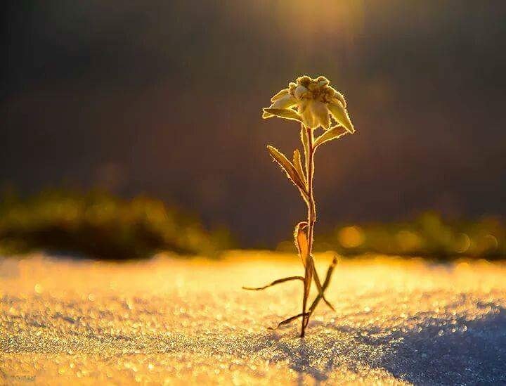 klauspern's tweet photo. #happyvalentinesday https://t.co/x5rmWWnfCX