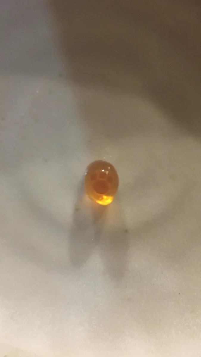 肉球かよｗ可愛すぎる奇跡的なイクラを発見したwww