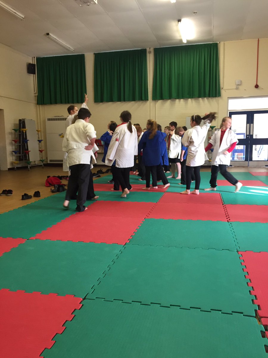 BearparkPrimary's tweet photo. We're enjoying a morning with @destinationjudo here at Bearpark. @DurhamClsSSP https://t.co/eQ6MRG0JFX
