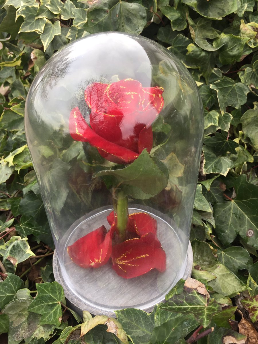 JohnTimeless_'s tweet photo. Inspiration Disneyenne ! 😊#LaBelleEtLaBête #Disney #Fleuriste #ArtFloral #Fleur #Rose #SaintValentin2017 https://t.co/xwLtk3FT17