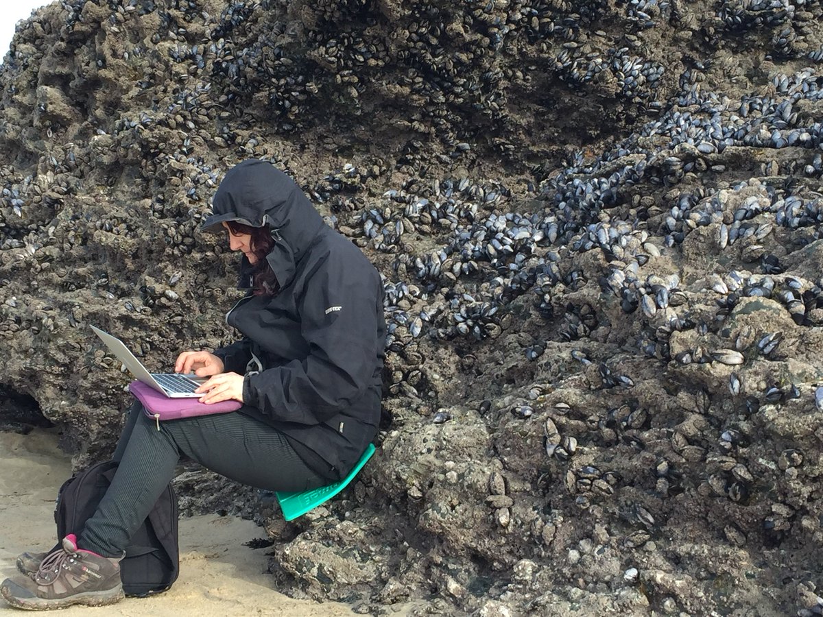 2017 Writer in Residence @wylmenmuir takes English &amp; Writing students to be inspired by our spectacular Cornish surroundings!