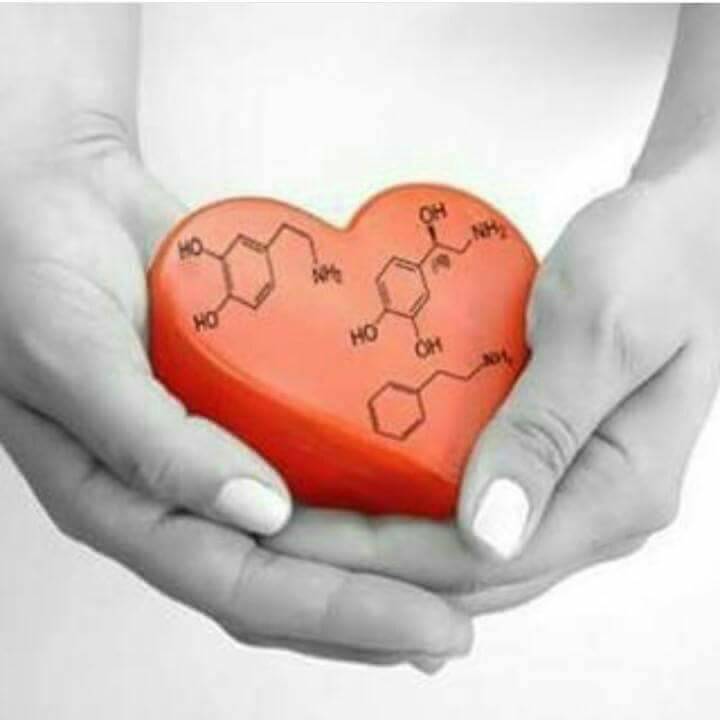 bioloenfurecida's tweet photo. Amor por la ciencia #BioAmor https://t.co/XoGzVBvd0j
