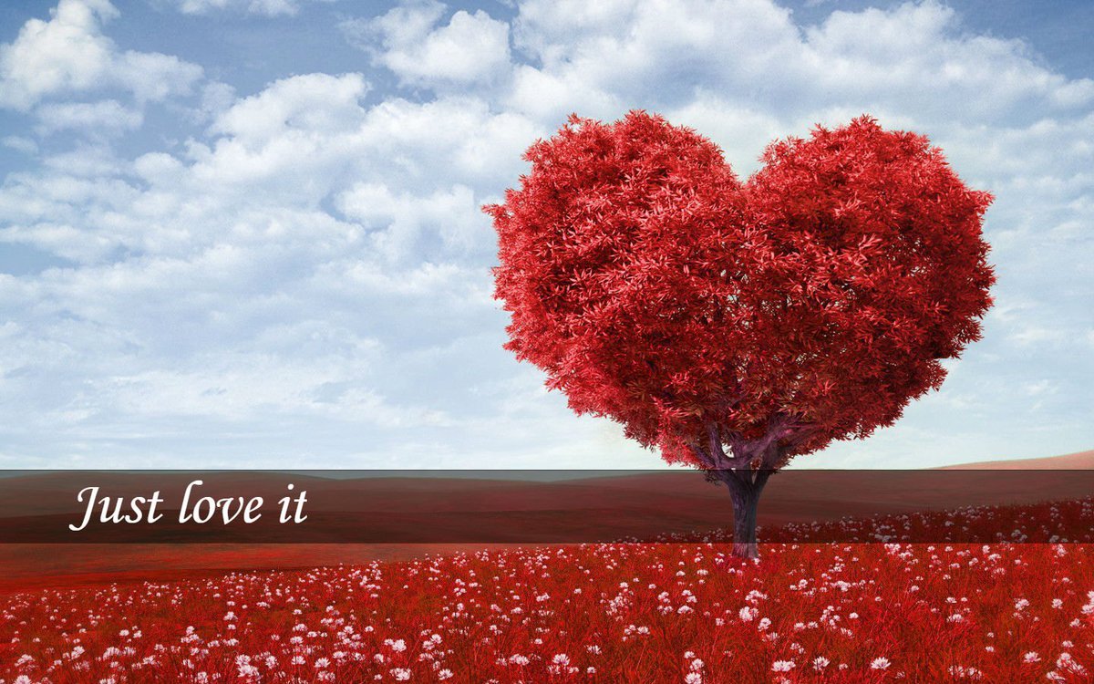 BodrumTaksi's tweet photo. Just love it.
We Celebrate Your Valentine's Day
#sadecesev #aşk #love #sevgililergünü #valentineday https://t.co/uxsZleKzYk