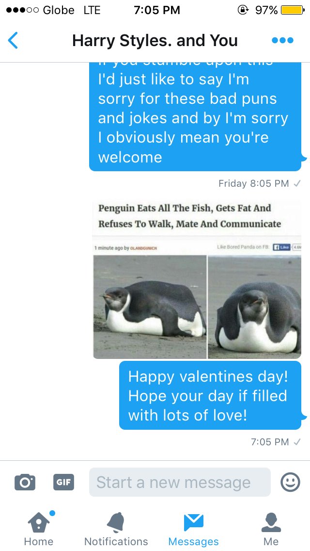 sunandstarsNH's tweet photo. I was gonna dm harry a cute little valentines day message with a cute picture of puppies but i sent the wrong picture i https://t.co/WEX8bPWeWT