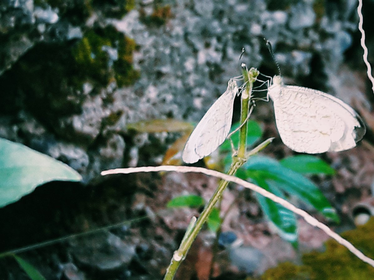 อดีตคบใครไม่สำคัญ ปัจจุบันเรารักกันก็พอแล้ว
#แคปชั่นวันวาเลนไทน์ #แคปชั่นรักแฟน #แคปชั่นความรัก