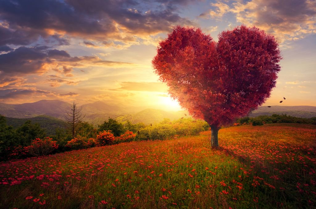 It’s time to show big data more love this Valentine's Day bit.ly/2lC6yIe