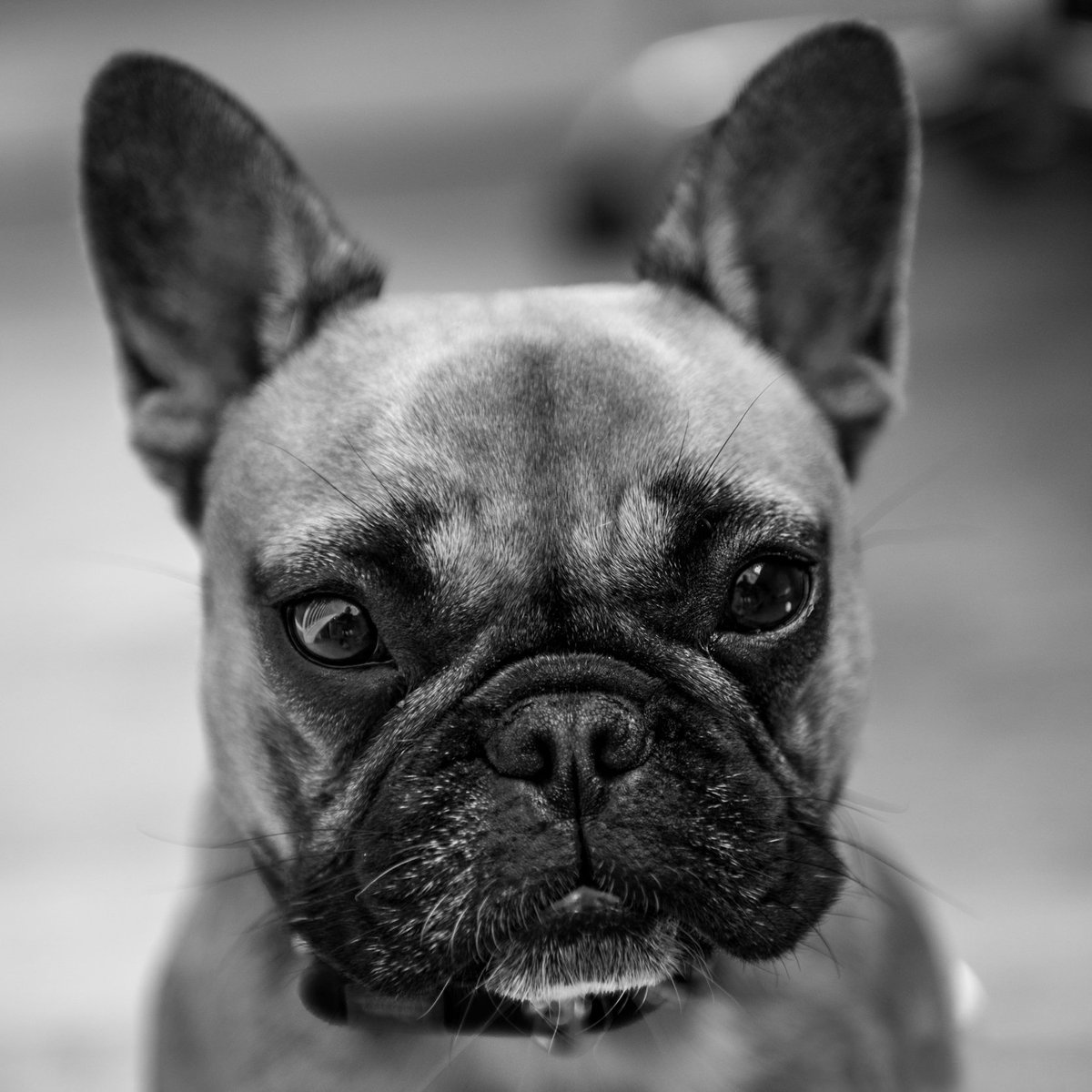 Our one and only Valentine ❤️❤️❤️