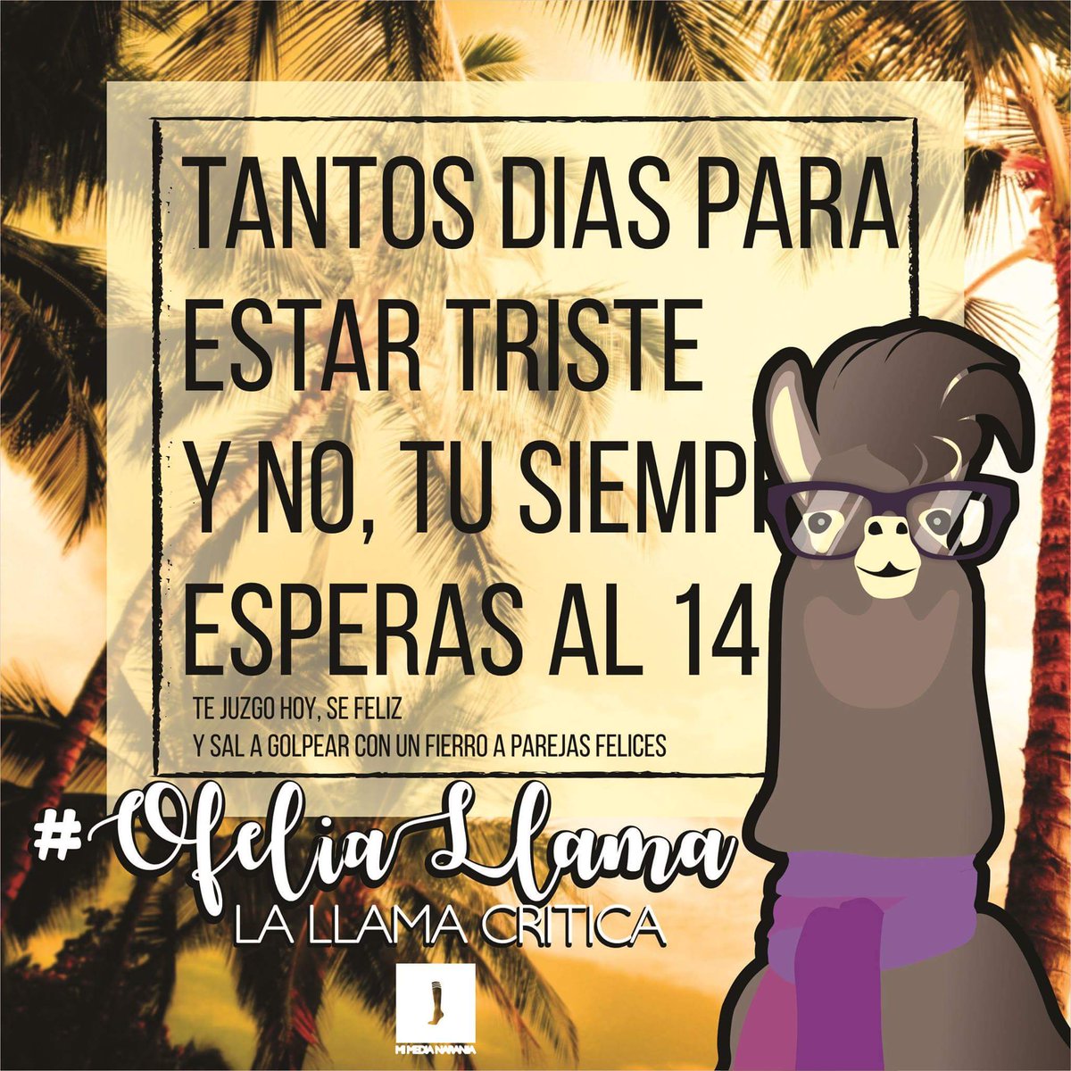 alex_unniverse's tweet photo. #OfeliaLlama #LaLlamaCritica Te juzgo hoy, se feliz y sal a golpear con un fierro a parejas felices. #LeleArte #LenayArte #lelepantalla 🍊😸🐪 https://t.co/0TrzLNicwB