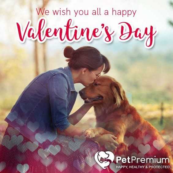 petpremium's tweet photo. Happy Valentine's Day to you all! Don't forget to hug and kiss your furry friend today! #SpreadTheLove #valentines #petpremium #dogs #cats https://t.co/4kQDwQkSlG