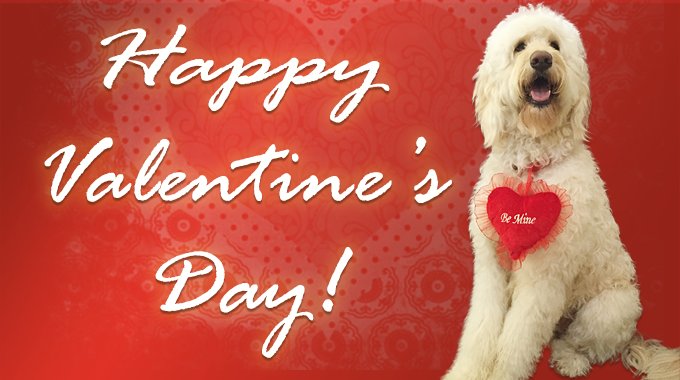 DesktopServer's tweet image. From Tucker and all of us at #ServerPress.  Happy Valentine&apos;s Day!