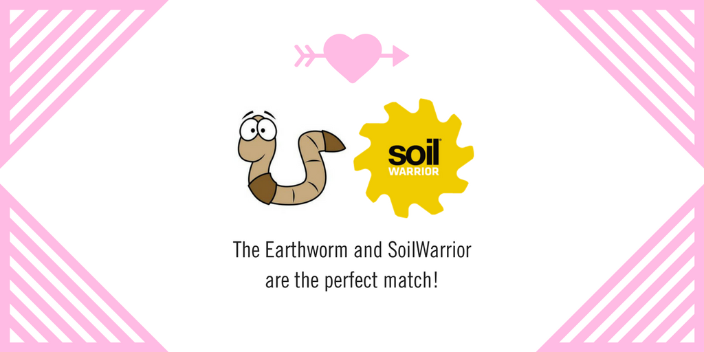 soilwarrior's tweet photo. #Earthworms &amp; #SoilWarrior: Heroes of Soil Health #striptill 

https://t.co/DlyPwt9pDz https://t.co/wxkvaBUepP