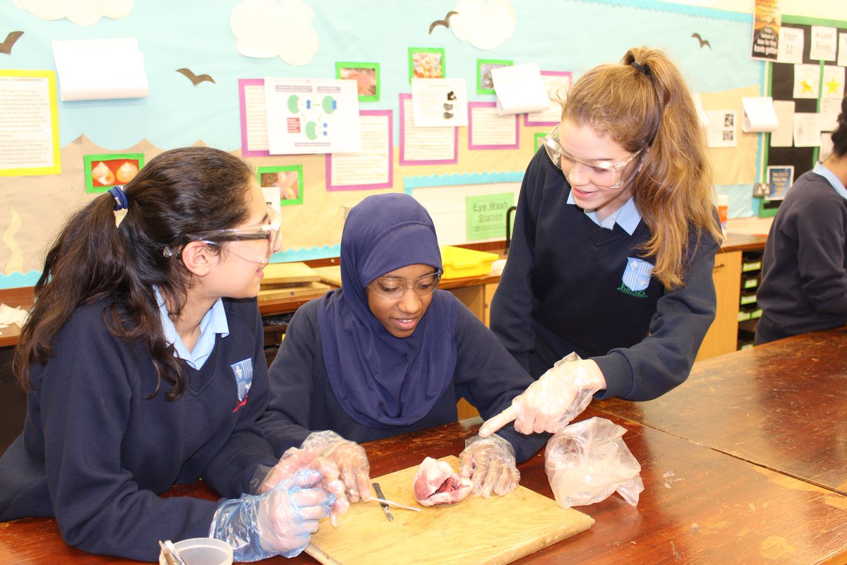 Kings Norton Girls' School tweet media