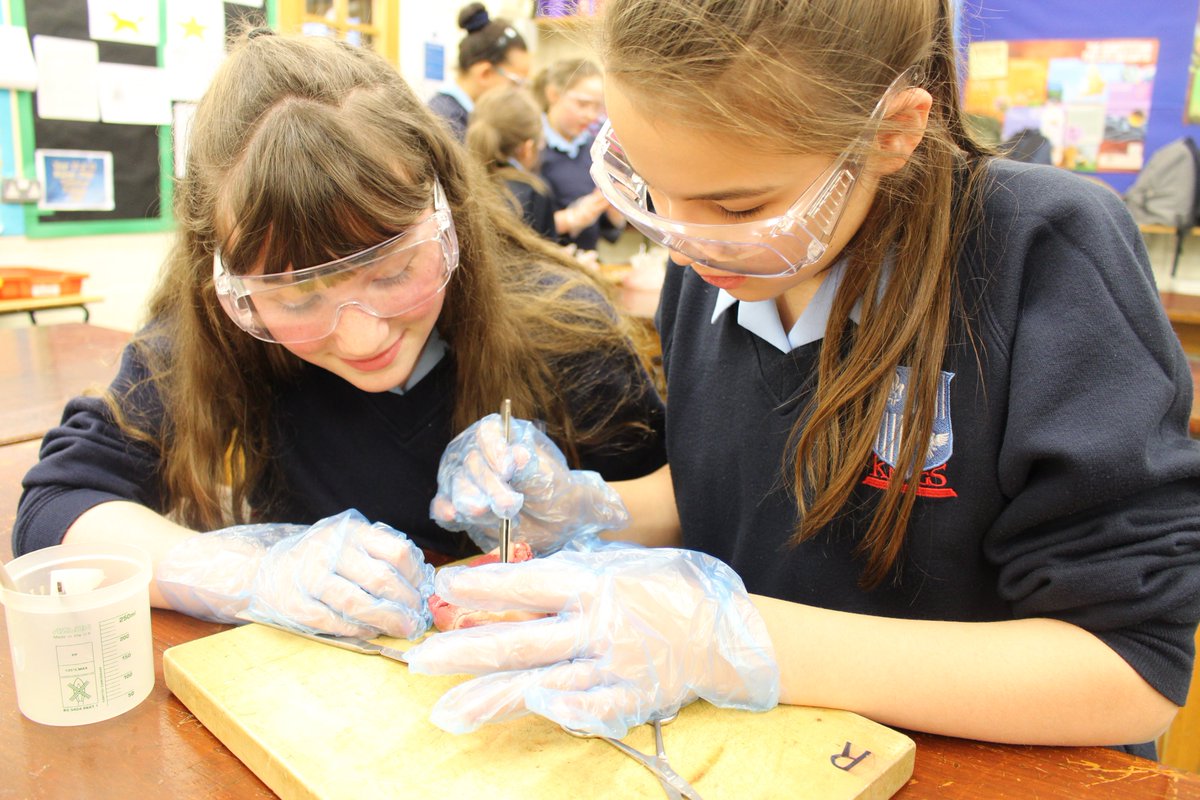 Kings Norton Girls' School tweet media