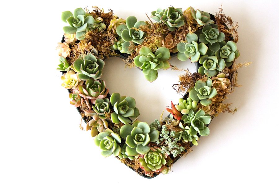 peaceofmindland's tweet photo. Happy Valentine's Day! https://t.co/ogpvr2elrK