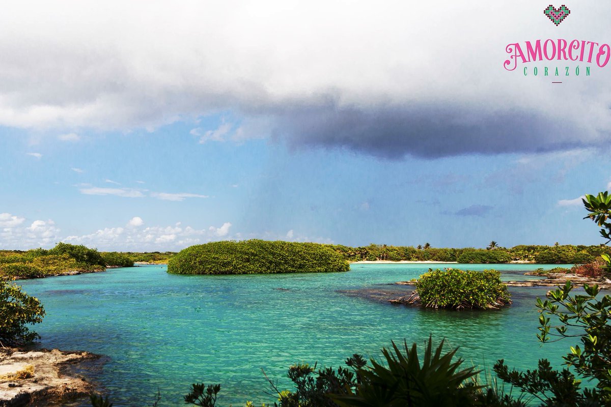 AmorcitoCoTulum's tweet photo. Laguna Yal-ku, akumal... https://t.co/aIWToLW6he