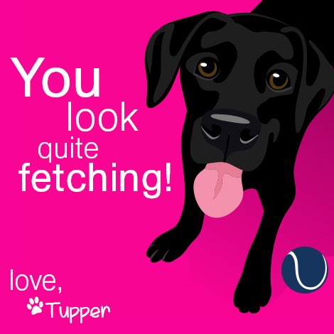TupperLuvsESA's tweet photo. Happy Valentine's Day! https://t.co/cqTntuc465