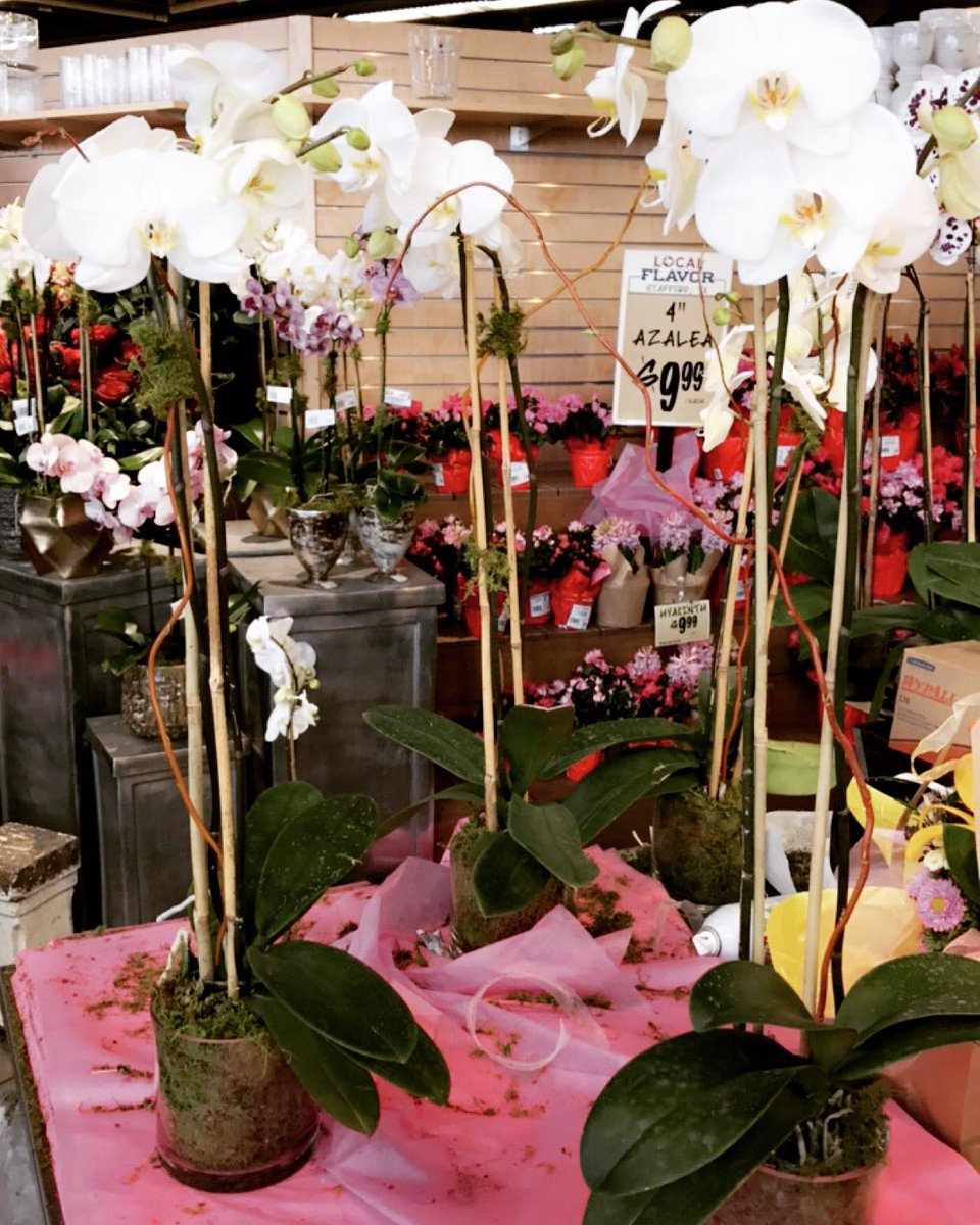 MAMPLANDESIGN's tweet image. Don't forget to come see us at 2800 West Ave to enter a raffle for a chance win a one hour sit down with a planning session! #htx #bride