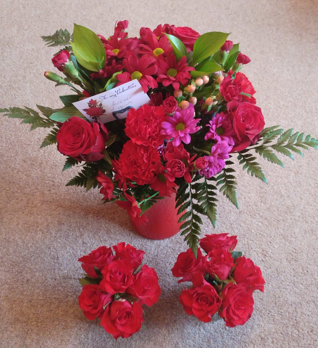 VBextensions's tweet image. My beautiful delivery 🌷💖