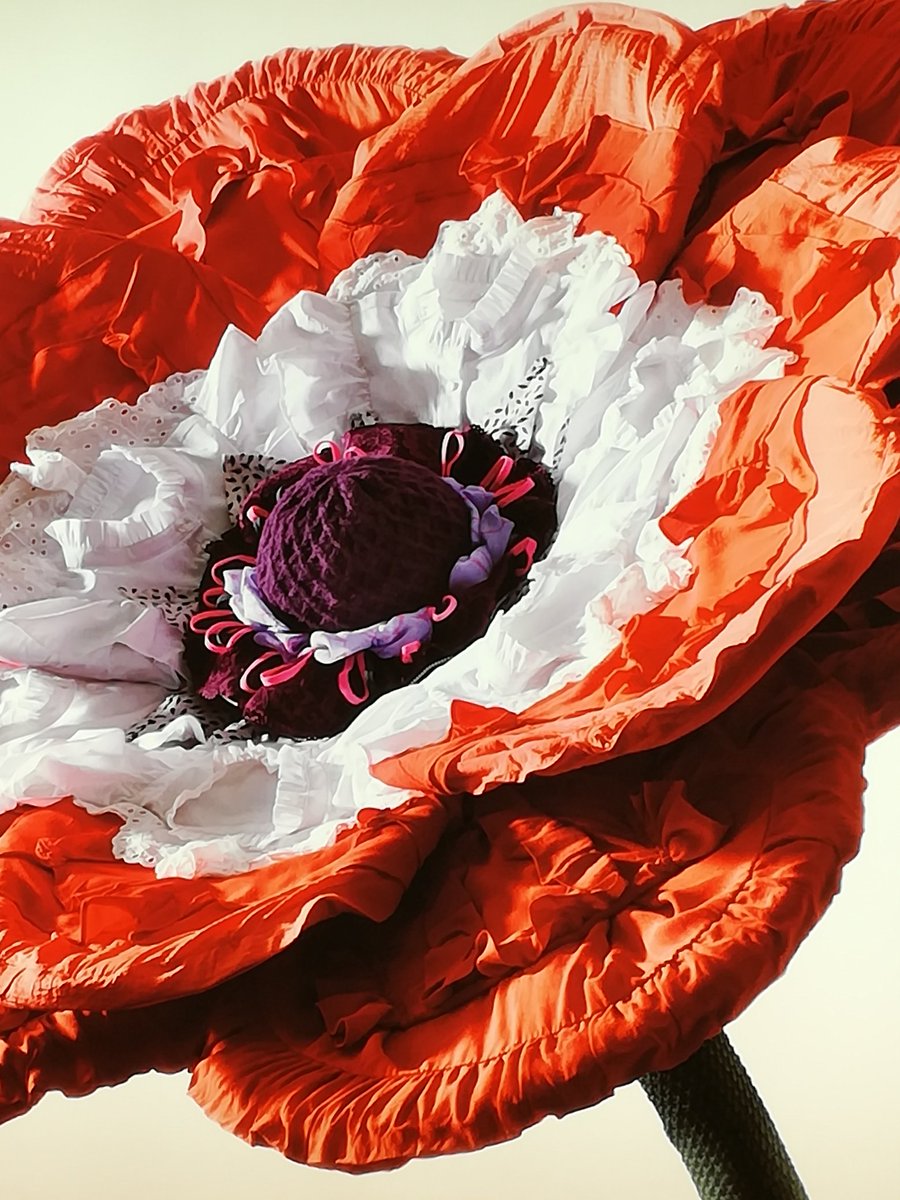 plantmorphy's tweet photo. And another! @hmunitedkingdom #plantart #Recycle https://t.co/6Rtd47eTMh