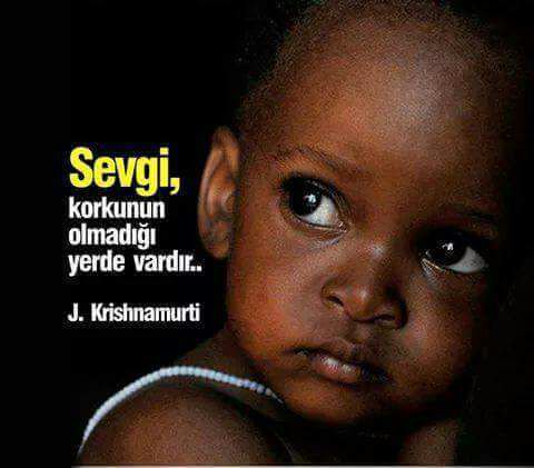 LimonHane's tweet photo. Sevgi korkunun olmadığı yerde vardır. https://t.co/fXcS1nz1hB