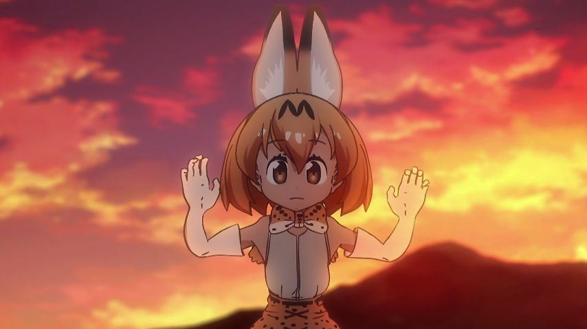 けものフレンズ 6話 ライオン登場して迫真のバトルがスゴーい そして最後にハシビロコウがカバンちゃんの正体に言及 Togetter