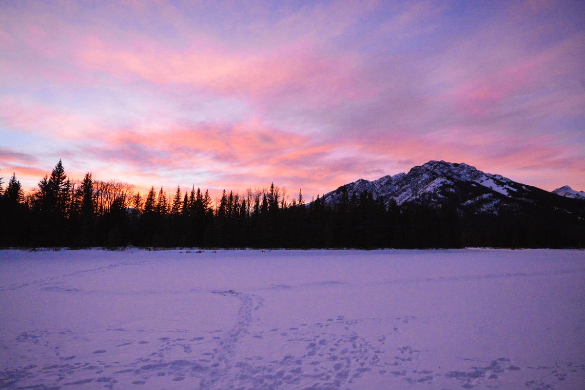 DanKatz_ott's tweet photo. Last night's sunset #Banff https://t.co/i0OsOMGH03