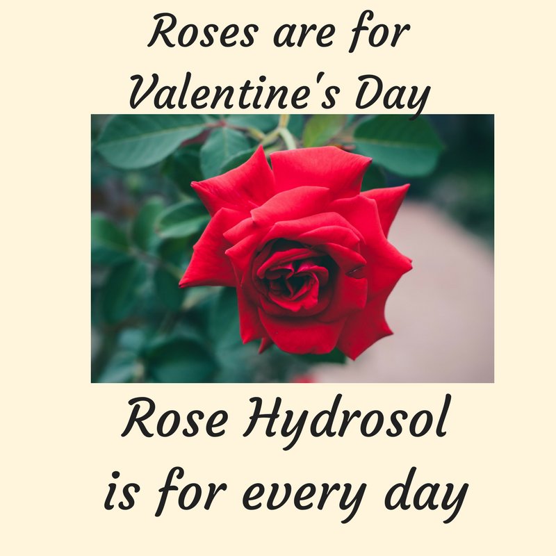 EOStill's tweet image. #happyvalentinesday #rosehydrosol #indiegogo #hydrosols #essentialoils