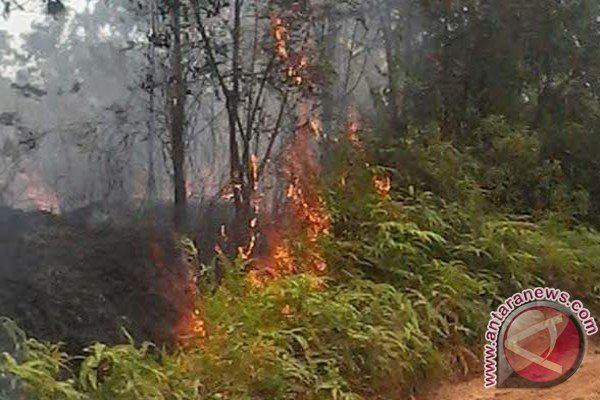 Warga Seruyan Ayo Patuhi Larangan Bakar Lahan antarakalteng.com/berita/262576/… #Seruyan @KementerianLHK
