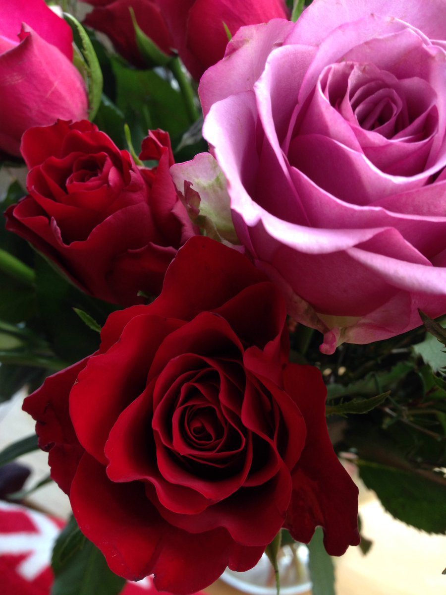 FloralRainbowAW's tweet photo. 'My soul doth tell my body that he may triumph in love;' #Sonnet151 #BardLove https://t.co/1NTwxbeCZf