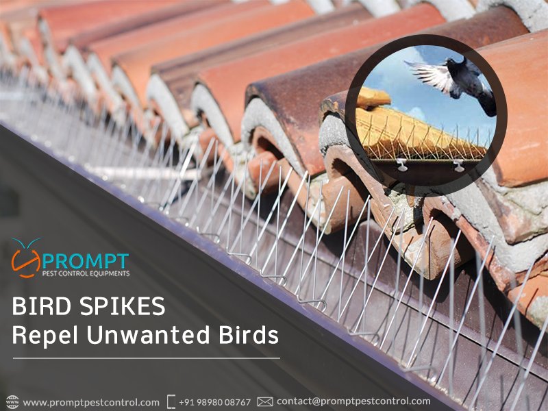 promptpestequip's tweet photo. Are you tired from unwanted birds? #PromptPestControl brings you effective #PigeonSpikes to repel unwanted birds.
https://t.co/1HzuEmVakQ https://t.co/UcAI8SvPc0