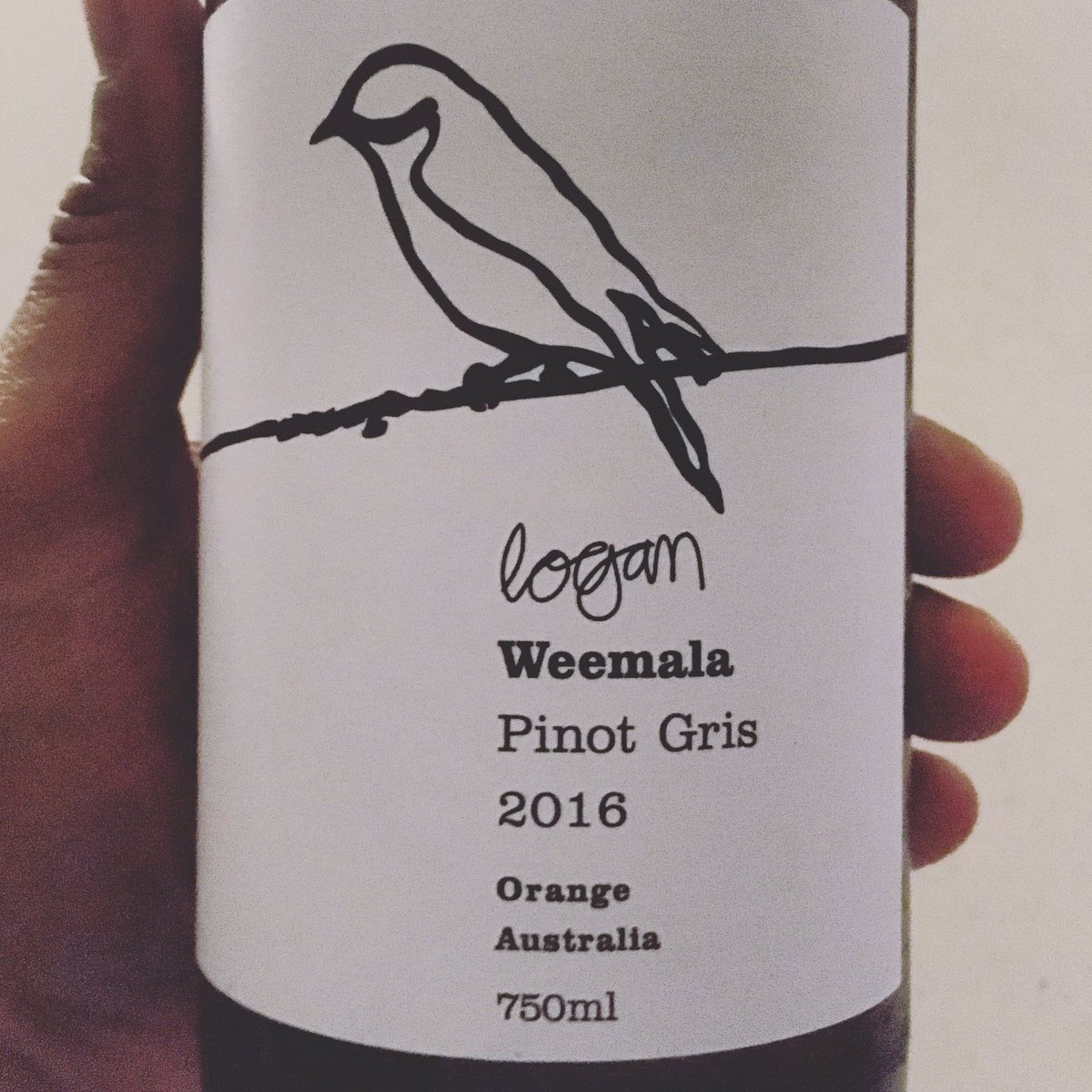 <a href="/LoganWines/">Logan Wines</a> 2016 #orange #pinotgris #wine  #winelover #winemaker #vineyard