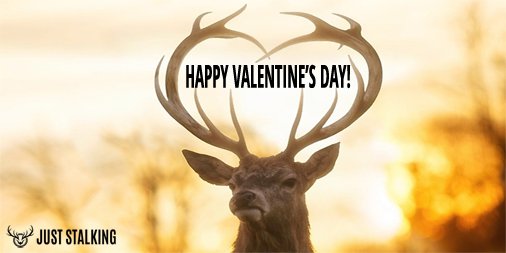 Happy Valentine's Day from Just Stalking! juststalking.com