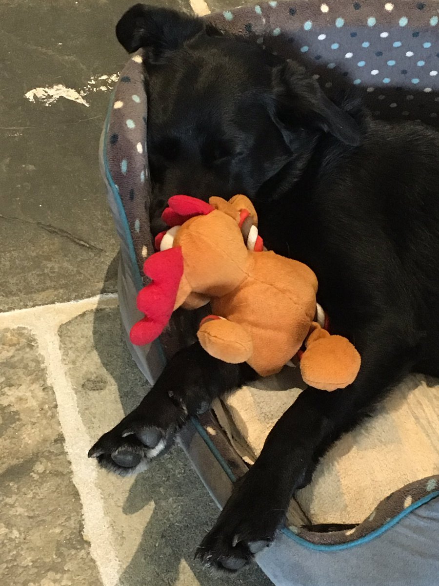 It's obviously been a very very tiring morning already for Lali ......