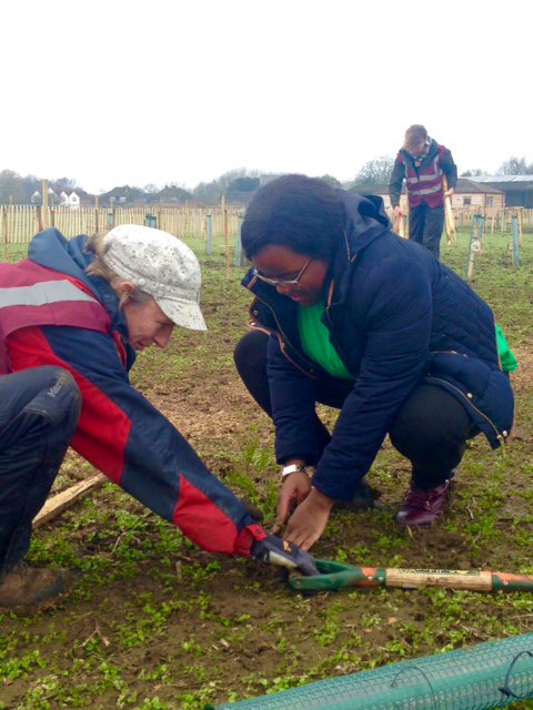 Congratulations to #sylvafoundation who have used the #TescoBagsofHelp Funding to plant a Forest  run sessions #southoxford #forestryschool