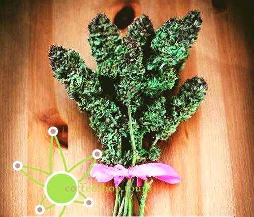 coffeeshopsams's tweet photo. Happy #valentines 💘💘 from @coffeeshopsams &amp; #Amsterdam. ❤️💚❤️ #love #nugporn #amsterdamlove #coffeeshoptours #cannabisculture #Travel https://t.co/nfDRcm3TxJ